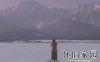 日本纯爱电影《情书》经典台词