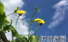怀旧不是一种病，而是一种情怀