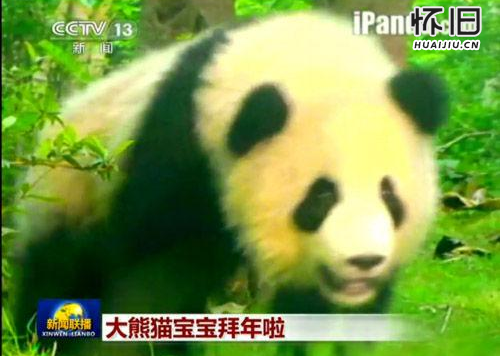 2014年新闻联播结尾频卖萌 网友细数其“变脸”