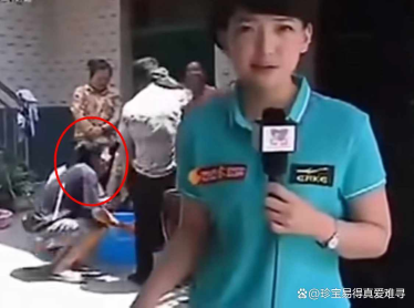 西安电视台肉灵芝事件,年轻女记者闹出天大笑话,后续如何?